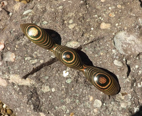 Haarstab "Kobra" in Grün-Natur, 13cm