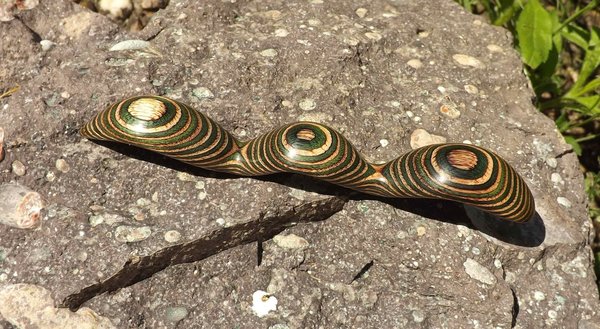 Haarstab "Kobra" in Grün-Natur, 13cm